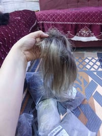 باروكات • ٣٢ قطعة • للبيع