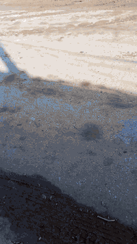 كربلاء • نصف دونم • شارع بني تميم