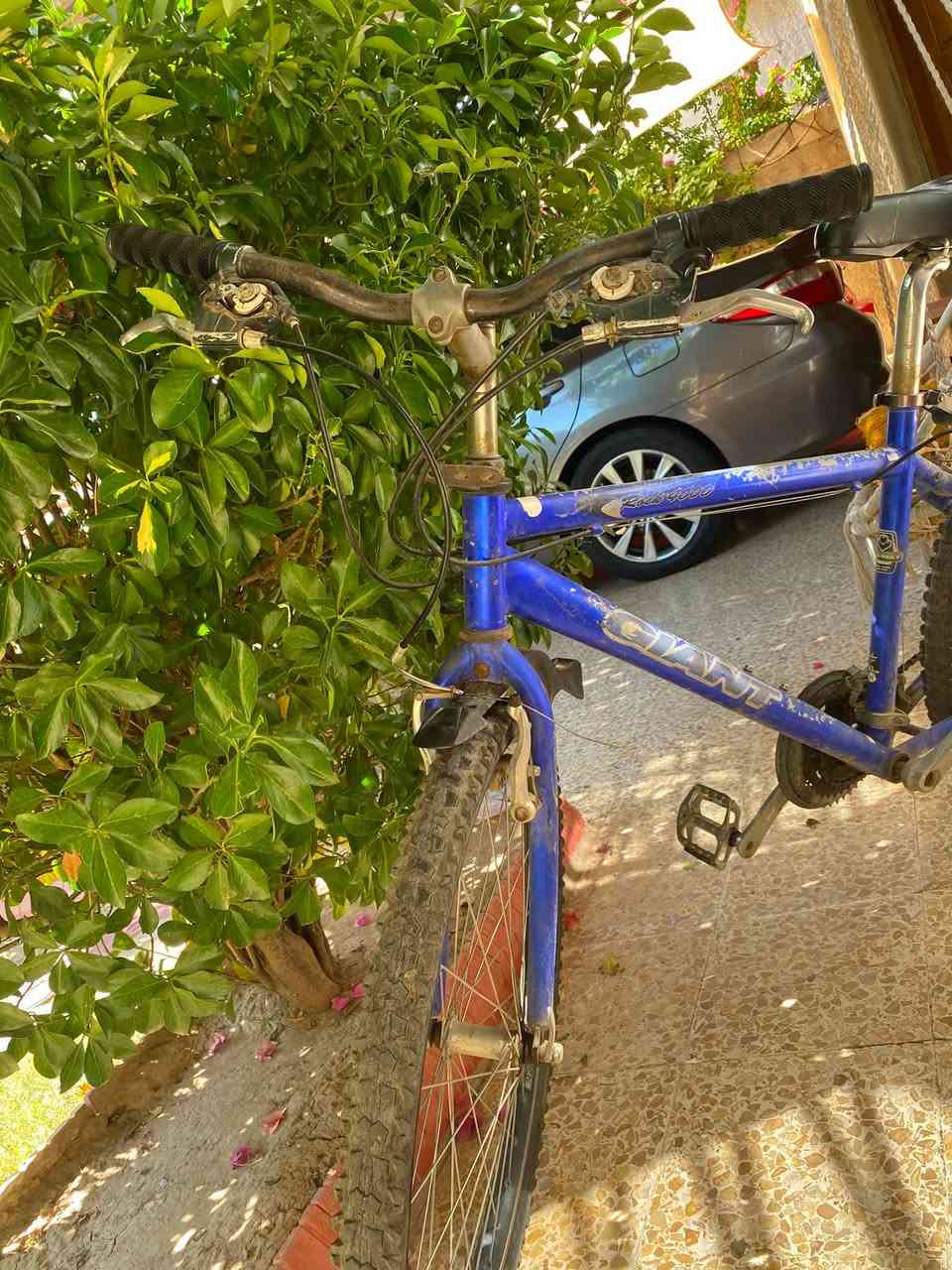عندي هذه الجينت للبيع  كير فقاس شغال امامي خلفي كنبليونات ويل اسود تايراته جديده وجوابه جديده 
قيم بل يرضي الله ومبارك


**إذا كنت صاحب هذا الإعلان وتريد حذفه لأي سبب، رجاءا أرسل رسالة إلى الدعم الفني**