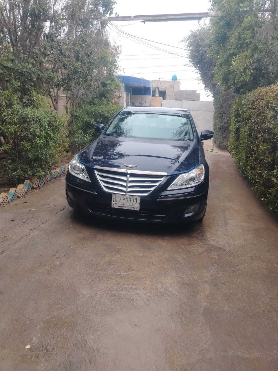 للبيع او مراوس جنيسز موديل ٢٠١٠ رقم بغداد بسمي سنويه لل ٢٨ مكينه كير كفاله تبريد شغال منضومه جديده مبدلهه تخم تاير جديد حداديه صدر امامي جديد مبدله تحكمات جهتين شاشه كشنات جلد كهرباء تدفئه كشنات تبريد ٣ قطع منضومه سماعات كله جديد لايتات عالي ناصي زينون مكينه ٦ سلندر ٣٨٠٠ المرغوب السياره بيهه جاملغ خلفي وبيهه اربع اصابع بل باب مال صدر جاهزه عوزهه فقط صبغ لان صبغهه جارد مكاني بغداد الدوره رقمي *********** السعر (100) وبيهه مجال
