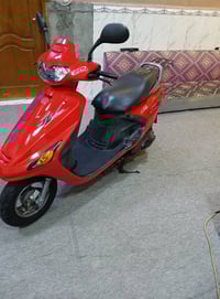 فراشه • فحل • ياباني