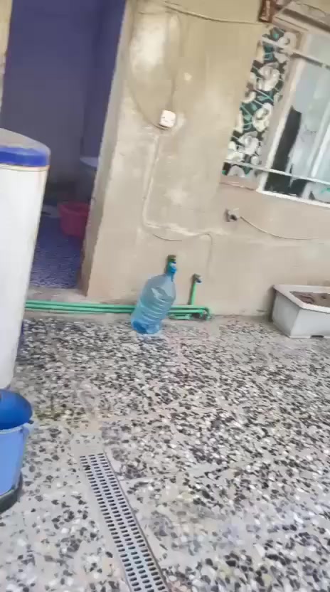 بيت بالزيتون مساحه 180 متر  حواسهم سعر 22 مليون بيه مجال قليل
***********
