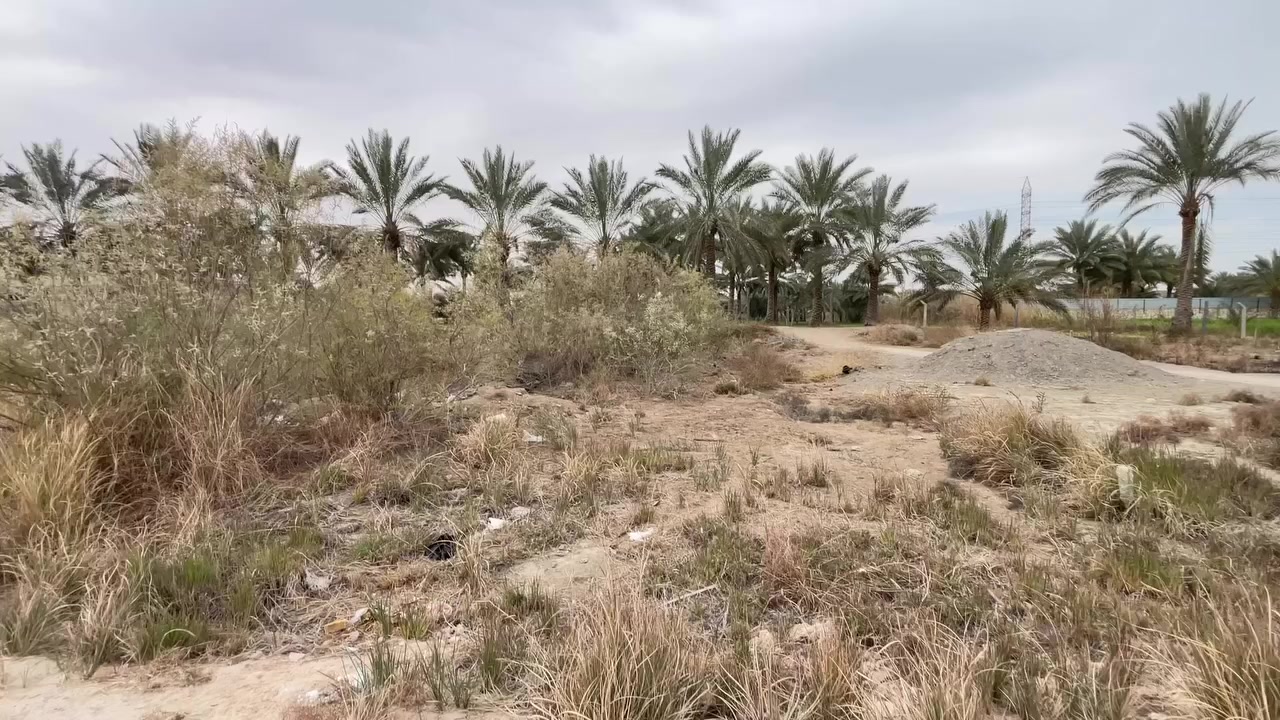 مكتب الأمير للعقارات والمقاولات العامة وتعقيب المعاملات 

بإدارة سيد يعقوب الميالي ***********
بإدارة سيد يوسف الميالي *********** 

   #عقارات #متابعه_ولايك_فضلا_وليس_امرآ #شعب_صيني_ماله_حل
