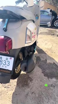 بليس • كفالة • مزودة