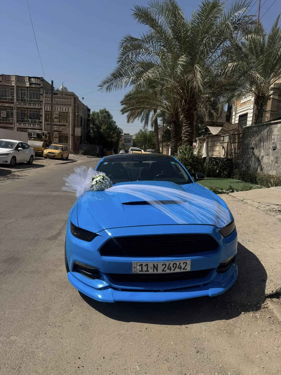 فورد موستنك للبيع 2017

اللون مميز أزرق بحري 💙
الفئة V6 (ستة سلندر)
رقم بغداد (رقم و سنوية جديدة)

🔹 ماشية 65mile
🔹 السيارة جديدة كاملة وبدون نقص
🔹 منظومة أكزوزت روش كاملة
🔹 درگـة كاربون فايبر rpm 
🔹 شوتة K&N أصلية
🔹 حلوك كورسا أصلية
🔹 سبايدر كاربون فايبر أصل
🔹 سقف روز رايز
🔹 عليها دبات بورلا اصلي
🔹 محرك وكير وأكسل بشرط 
🔹فول تحكمات ستيرن
🔹كامره دوارة
🔹تشغيل عن بعد
🔹بلاجكتور بلاد
🔹بگ لايت ٢٠٢٣ 
🔹ويالة فيرادا اصلي
🔹لحية سيرفيني 
🔹دعامية خلفية GT
🔹سبايدر 
🔹٤ صالنصات
🔹دفيوزر شيلبي
🔹 هـود بنيد

🔵 حادث السياره فقط باب بجم كبس شاصي لغد مكفول و صورة الحادثة موجودة بالمنشور.

 🔵 السيارة نظيفة حيل و متعوب عليها و مصروف عليها هواية ، الدهن بس أصلي و البانزين بس محسن.

🔵 مكان السيارة بغداد 
السيارة بأسمي بشرط التحويل.

🔵 سعرها 184 ورقة.

🚫 السعر معاجبك تعال أخذها ببلاش فدوة ألك بس لا تكسر بسعرها.

للاستفسار أتصال أو واتساب
***********
