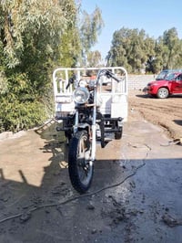 مدينة 13 • مكينة 18 • هلا الشوملي