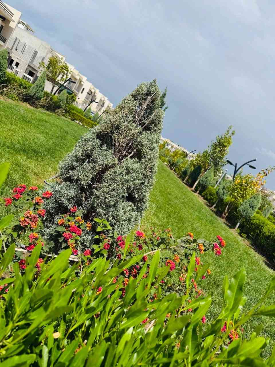 📢خانوی بان ستی(بامۆک)بۆفرۆشتن
🔸خانوی 220مەتر ڕوکن بەردەم پارک نەقد
🔸خانوی 200مەتر ڕوی سلێمانی نەقد
🔸خانوی 200مەتر خۆربەیانی قست
🔸خانوی 180مەتر بەردەم چۆڵ قست
🔸خانوی 200مەتر ڕوی سلێمانی ڕوکن قست
🔸خاوی دووقات ڕوکن 220 مەتربەردەم پارک
☎️📞 ***********
