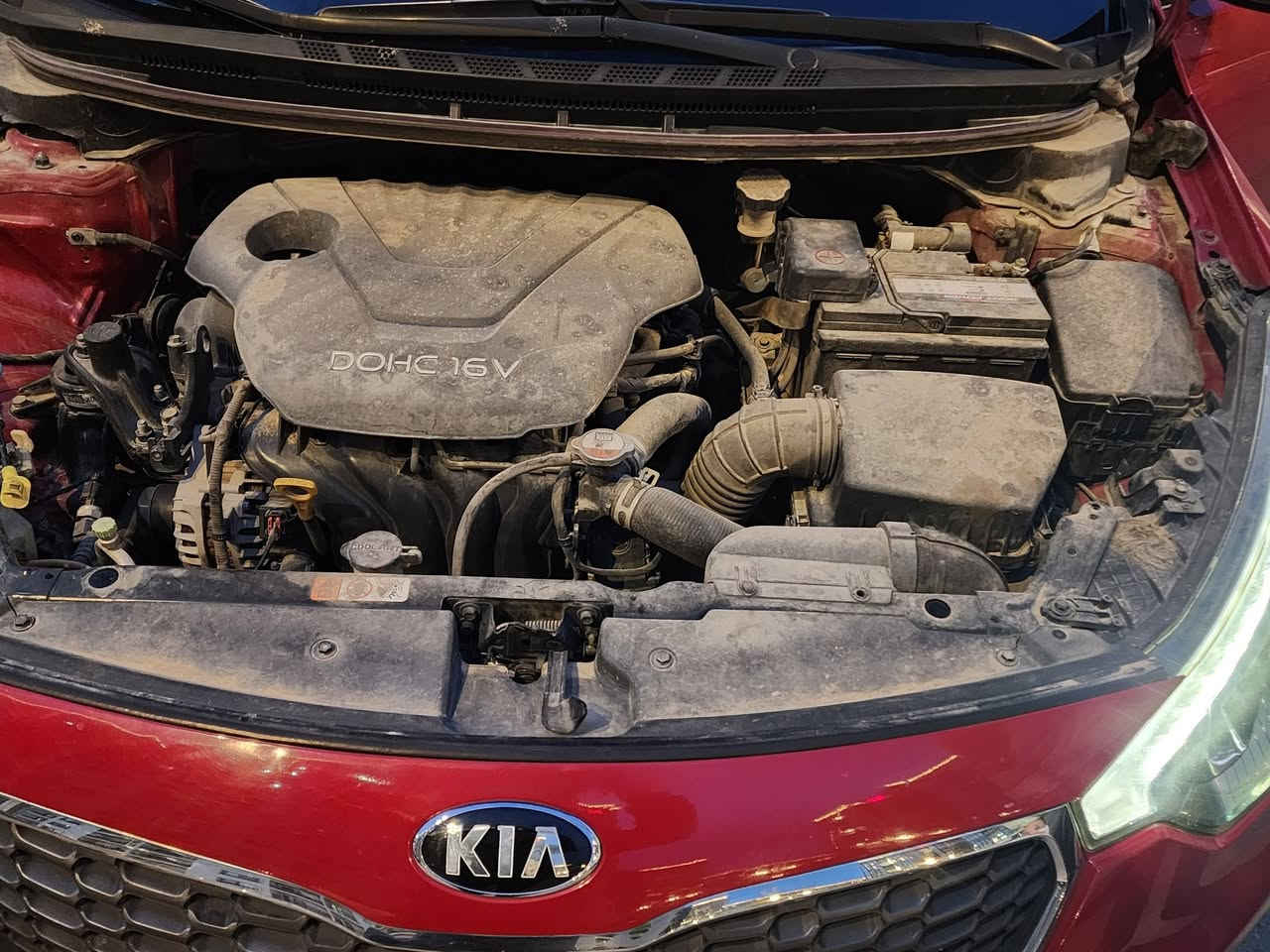 السلام عليكم
سيراتو خليجي فول
موديل 2016
ماشيه 110 الف
محرك 1600 دوش 
مواصفات ..
فتحة سقف
لد أمامي خلفي
مري شفط 
تحكم ستيرن ابعه جهات
حساسات امامي خلفي 
كير سبورت ستيرن
ويل كب رياضي
....
السياره بيها بارد باب خلفي شبر فقط 
سياره جديده بالواقع احلا 
السعر 132$
مجال بصيط 
الرقم *********** بغداد حي الجهاد
