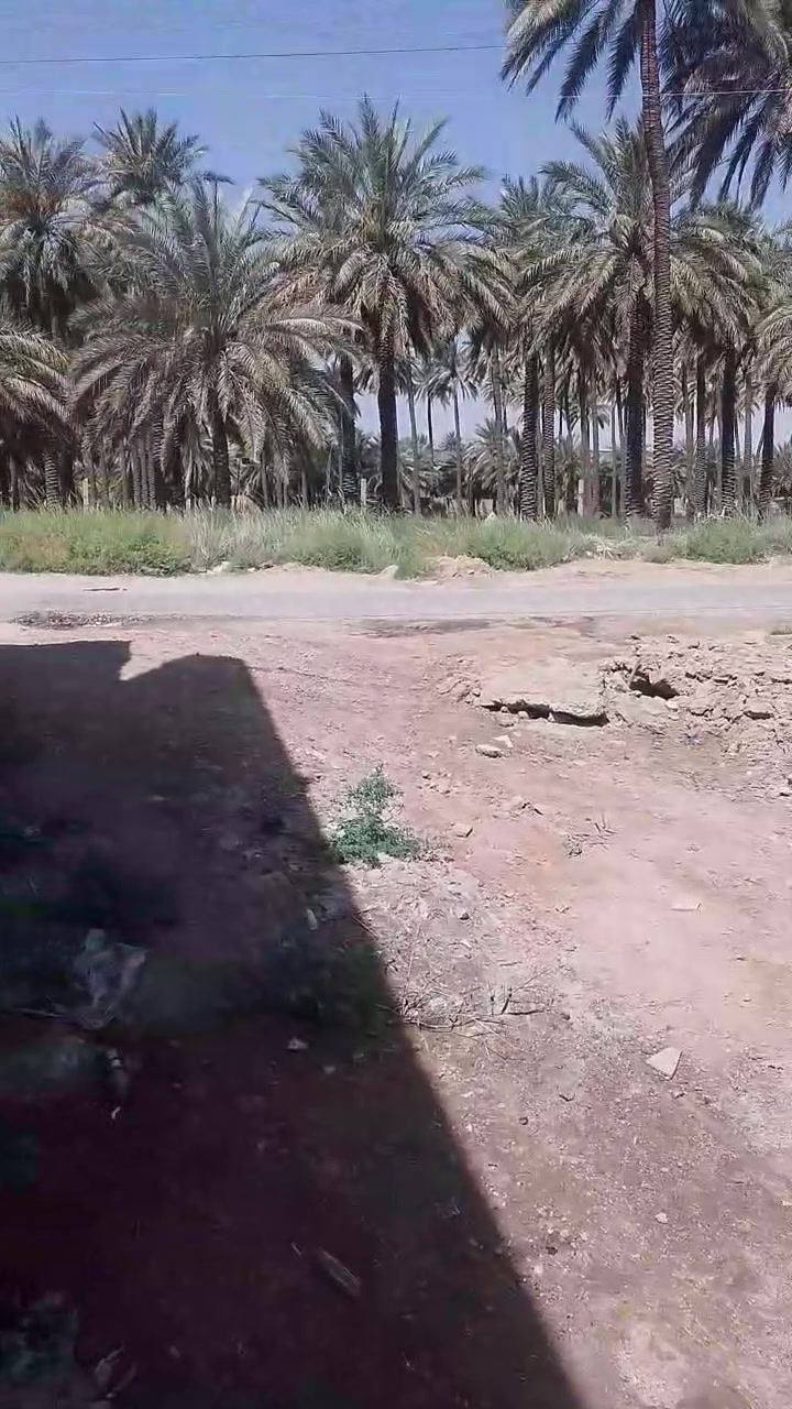 القطعه للبيع العنوان المسيب ابو عصافير السويفات مساحة القطعه 200متر سند 25 زراعي للاستفسار الاتصال على الرقم ***********

