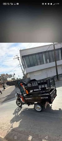 سليماني • جنج • سعر مناسب