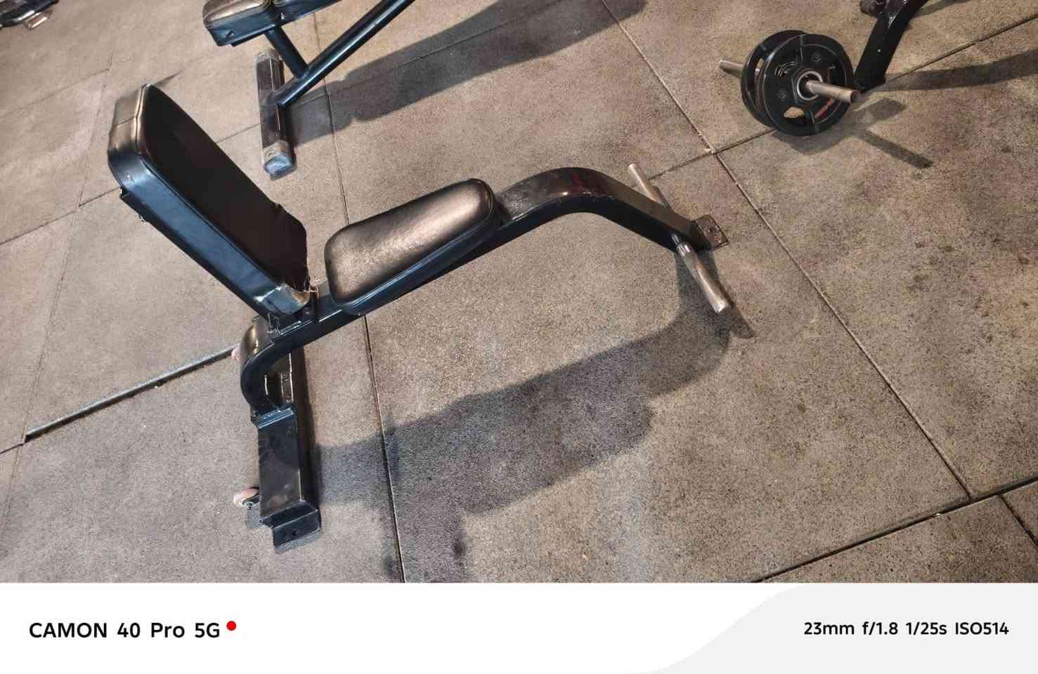 قاعه كامله للبيع سعر  مابيها اي نقص العنوان بغداد ***********
1.بنج همر اعلى
٢. بنج همر اسفل
٣. بنج جهاز مستوي جالس
٤. بنج جهاز اعلى
٥. جمع جهاز اعلى
٦. جمع فراشه
٧. سحب همر من الأعلى
٨. سحب همر متكأ الصدر
٩.سحب همر من الاسفل
١٠.سحب T حر
١١. سحب تي  متكأ الصدر
١٢. باك ارج
١٣.عقله مع مساعد وبرليل
١٤. ضغط جهاز اكتاف
١٥. شراكس هز اكتاف
١٦. سحب بكره ارضي
١٧.سحب بكره جالس أمامي خلفي
١٨. بكره متقابل
١٩. كيل لاري
٢٠َ. كيل همر مائل
٢١.كولف جالس
٢٢. كولف مائل
٢٣. هاك باك
٢٤.دفع ماكنه
٢٥. كيل سيقان خلفي جالس
٢٦. كيل سيقان خلفي نائم
٢٧. كيل سيقان أمامي
٢٨. قاعده دبني
٢٩. نشر جهاز أكتاف للجانب
٣٠.سمث
٣١. شفتات سيت عدل وz
٣٢. لف جذع
٣٣. جهاز معده
٣٤َ.ساعد
٣٥.مصاطب بنج سيت عدد ٣
٣٦. مصاطب متحركه عدد ٧
٣٧.شفتات صغار عدد ٢
٣٨ شفتات كبار عدد٤
٣٩. سيت دمبلص مع حماله
٤٠. أقراص
