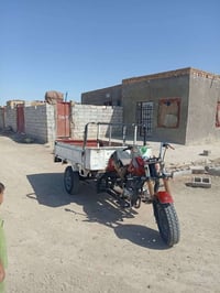 ستوته • ٢٠١٤ • اوراق كامله