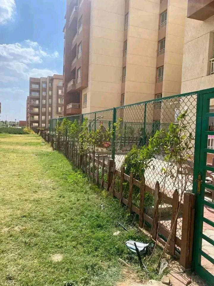 اسوار سلك شبك حديد اعلى جوده ✨ للتواصل عبر موقعنا فون 01093542272


**إذا كنت صاحب هذا الإعلان وتريد حذفه لأي سبب، رجاءا أرسل رسالة إلى الدعم الفني**