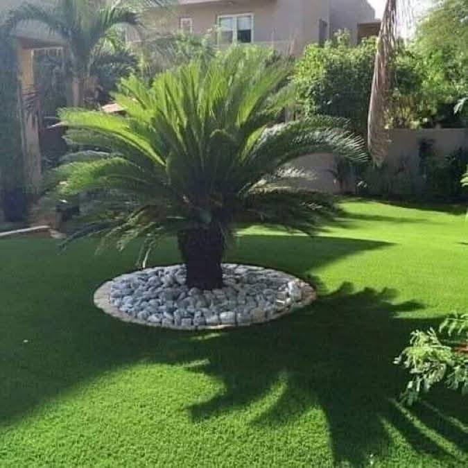 تحياتي واحترامي للجميع مھندس متخصص بتصميم الحدائق المنزلية وتنسيق وتنظيف الحدائق عمل كافة الشلالات المنزليھ نافورات  رقم وتساب ***********6 ابوھشام التميمي
