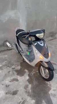 ماكس منغولي • كفالة • ختم واحد