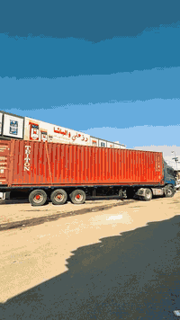 نومي بصرة اسود صومالي تايكر درجة أولى  من انتاج شركة AMK Golden شركة م...