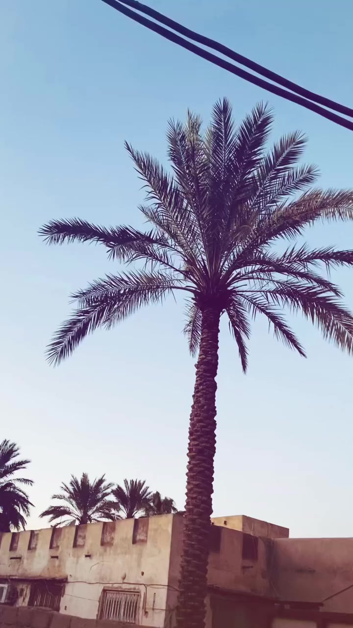 السلام عليكم الدراجه للبيع نامه شلامجه 23  اوراق اصولي   مكاني  ديوانيه قضاء الشاميه  السعر خاص …


**إذا كنت صاحب هذا الإعلان وتريد حذفه لأي سبب، رجاءا أرسل رسالة إلى الدعم الفني**