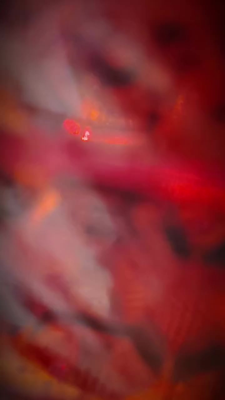 السلام عليكم دراجه للبيع تعمير انتنس بدون السعر750وبيهة مجال حك الجية ***********
