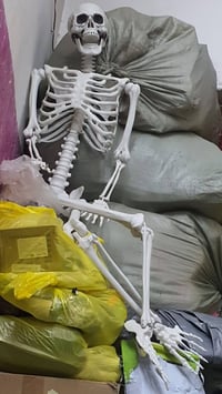 هيكل عظمي • ديكور منزلي