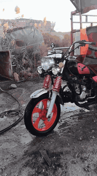 ستوتة جمرة للبيع مثل ما وضح ب صورة رايده ب ٧٠٠ ومجاله قليل مكانه رمادي سبعة كيلو و رقمي للتواصل ***********
