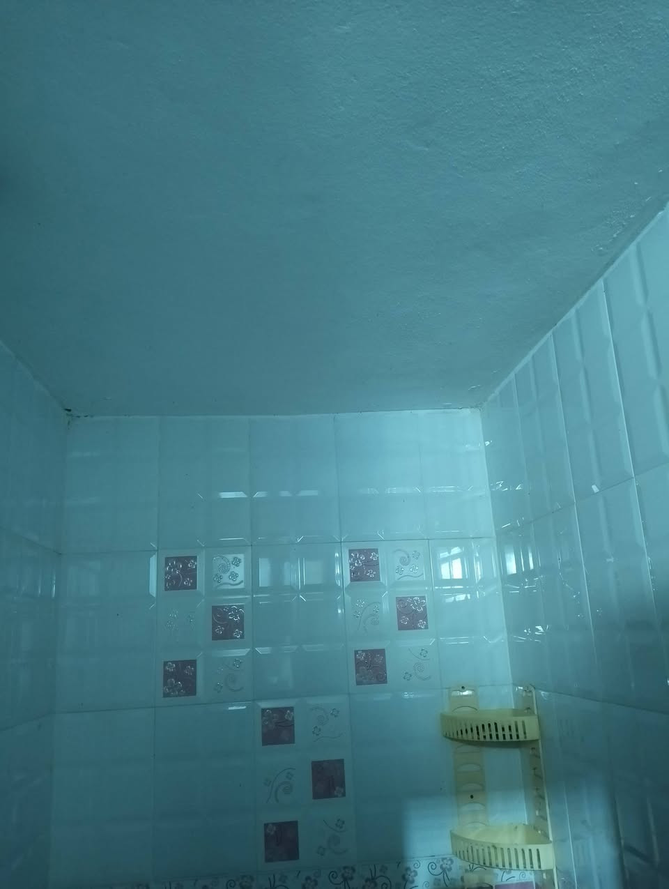 السلام عليكم
بيت للايجار في حي الجغيفي الاولى قرب مدرسة السؤدد وجامع التوفيق للاستفسار الاتصال على الرقم التالي ***********
