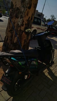 نضافه • حضوري • ٣١٨