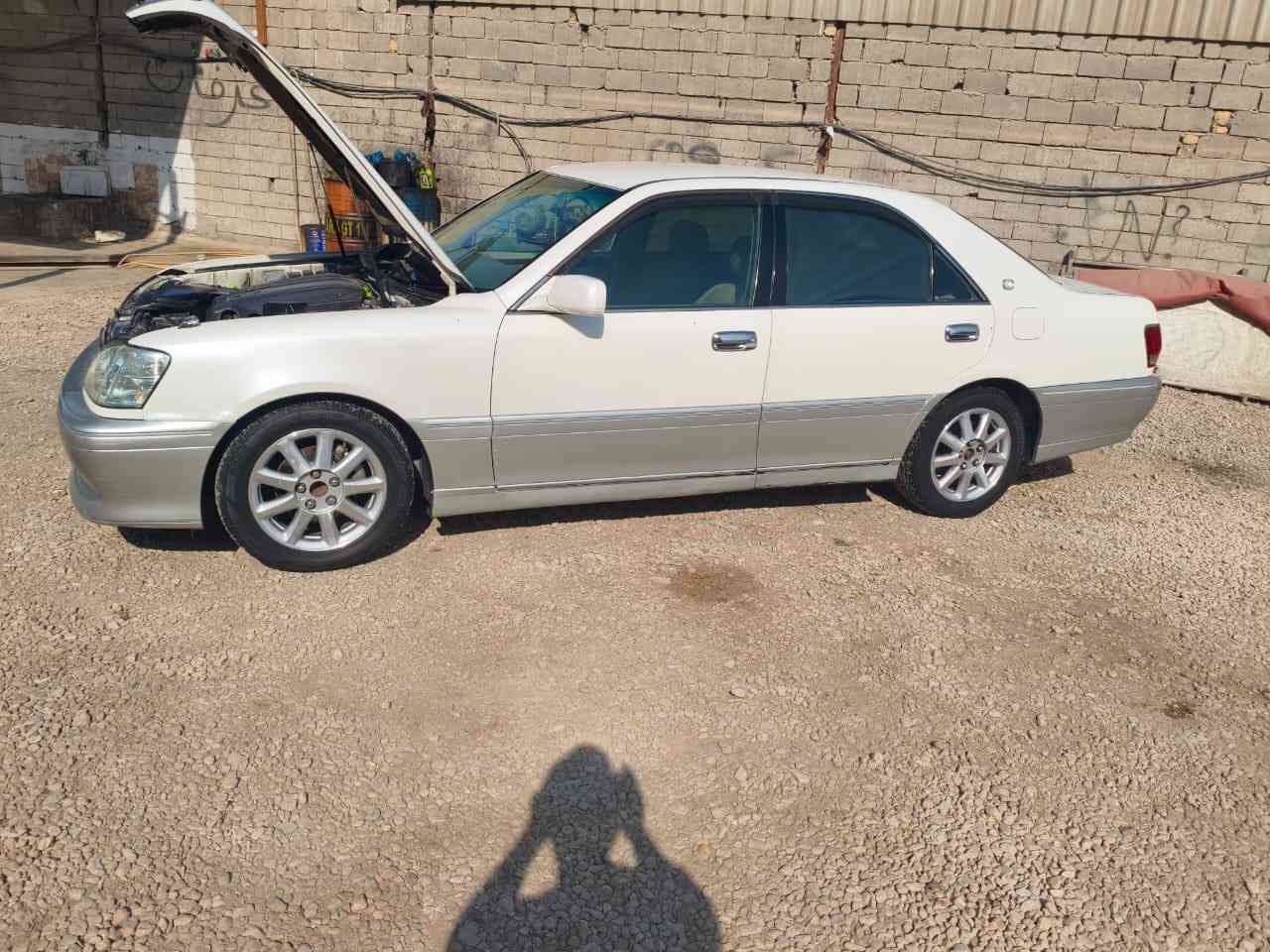 للبيع 3دكم  رقم نجف مكفوله من ضربه وكص ونقل جثه    السعر ب120وبيه مجال  استفسار اكثر

*********** اني مكلف بالنشر اتصل ع الرقم👏🏻
