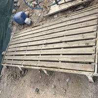 سيبايه فتون • يحتاج صبغ • سيديه تقاطع درويش