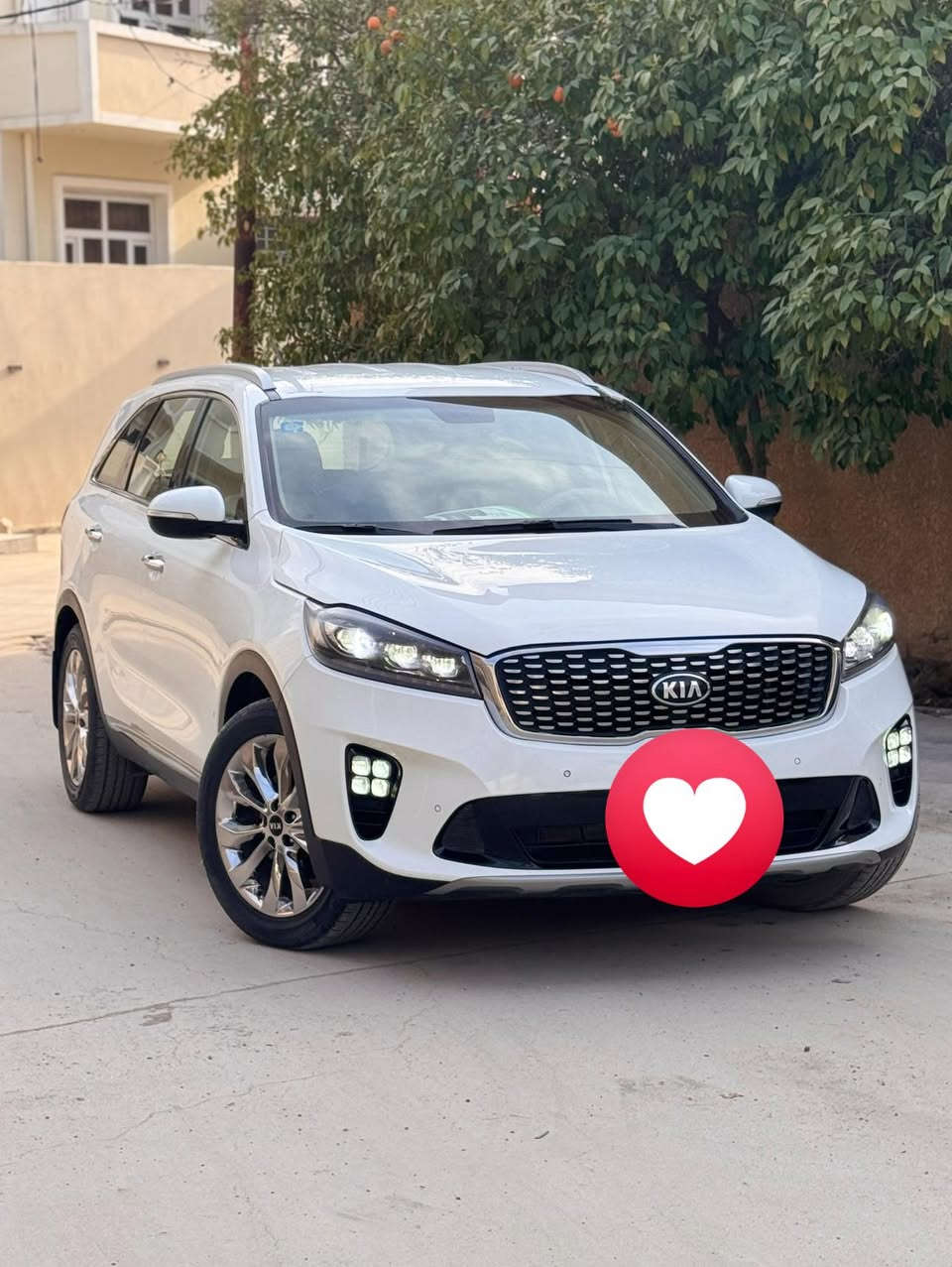 السلام عليكم 
اليدور جديد هذا الجديد واليدور نضيف هذا النضيف مكفولة حتة  الدعاميات سيارة صاكة من الدعامية للدعامية
سورنتو خليجي 2019 الشركة الدولية
رقم بغداد دولي باسمي شخصياً تحويل مباشر هزة جديدة
٦ سلندر
٧ راكب
٣قطع تبريد
بصمة تشغيل وابواب
بردات بلادي
جنطة كهرباء شفط
مري شفط
اشاير بالمري
حساس امامي خلفي
شاشة كبيرة
كامرة دوارة 
كشنات جلد 
كشنات كهرباء 
لايت زينون
بك لايت LED 
درايف مود
مكفولة من الضربة والتبديل والصبغ فقط بارد ٤ اصابع في البنيد سونار مرفق مع المنشور
كير ومكينة كفالة على وضع الشركة سبانة ما ممدودة عليها 
السيارة ماشية ٧٠ الف كيلو متر ادك جرص بال ١٢٠
السيارة جديدة لزكات الشركة لسة بيها دينار متصرف عليها
مكاني ديالى بعقوبة السعر ٢٤٥ للاستفسار ***********
