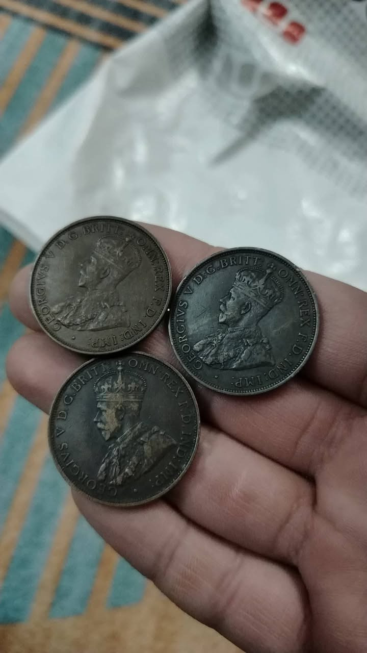 القطعة تباع 15 او17 الف معروف
حاليا 3 قطع بسعر 19 الف قفل نهائي


**إذا كنت صاحب هذا الإعلان وتريد حذفه لأي سبب، رجاءا أرسل رسالة إلى الدعم الفني**