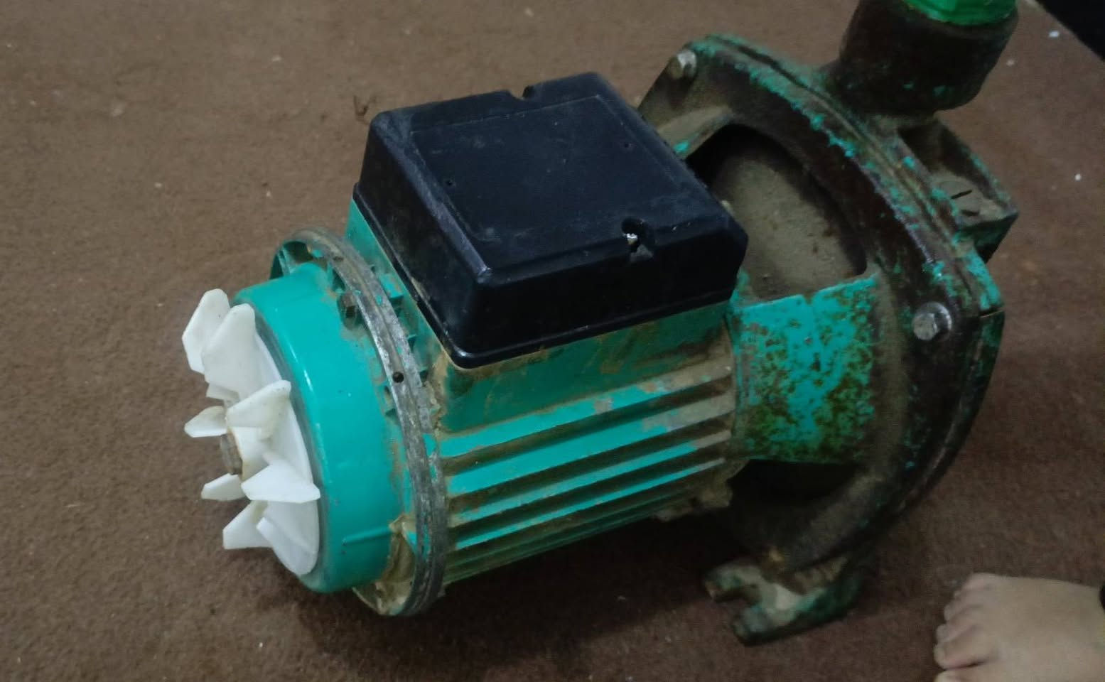 ماطور كهربائي للبيع سعر 40 انج


**إذا كنت صاحب هذا الإعلان وتريد حذفه لأي سبب، رجاءا أرسل رسالة إلى الدعم الفني**