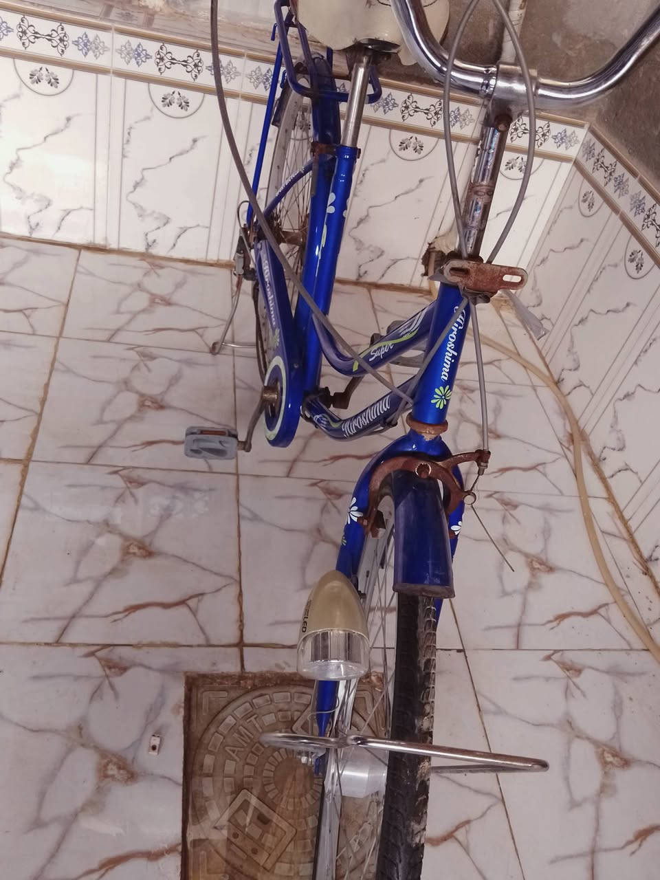 بس بريكات مابي السعر60 وبي مجال مكاني شطرة شوملي


**إذا كنت صاحب هذا الإعلان وتريد حذفه لأي سبب، رجاءا أرسل رسالة إلى الدعم الفني**