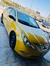 سوناته 11 • بدون دواخل • ديالى بلدروز