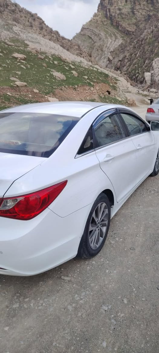 ســلام عليـكم 💖
الــبيع سونـاتـا 2014 خليجي 

مكفول كفاله عامه 🤍 ✅

مكينه 2400 مامفتوحه 

كير مامفتوح ع وضع الشركه 

ماشيه 150 حقيقي 

سياره كفاله عامه ✅ 

رقم بغداد دولي باسمي تحويل ثاني يوم ✅ 

موصفات ✅ 

اشاير بلمري 

مري شفط 

حساسات خلفي 

شفتات ستيرن 

تبريد قطعتين 

السعر 150 وبيه مجال 

كلشي موجود بسوك ✔️ 

العـنوان : بابـل نادر الثانيه 

***********
