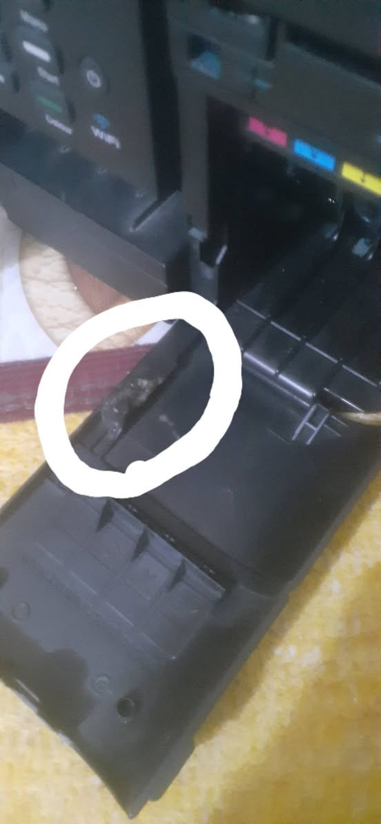 السلام عليكم طابعه نوع برذر موديل J480 شغال الجهاز بس يحتاجله كارتج  يله تطبع مداخله تصليح بعده جديدة استعمال قليل 
تشتغل ع الواي فاي حاسبة موبايل سكنر 
السعر 125000 وبيه مجال مكانه بغداد


**إذا كنت صاحب هذا الإعلان وتريد حذفه لأي سبب، رجاءا أرسل رسالة إلى الدعم الفني**