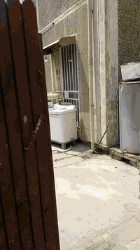 🛑الإيجار شقة منفردة  بشقق الخظراء  قرب شارع أربيل 

🛑 مساحة 175 متر 

🛑 غرفتبن وصاله ومطبخ وصحيات وحديقة فتل 

مكتب الاصدقاء 

عنوان المكتب سايدين الأركان قرب روضة الأماني 

*********** واتساب 

***********
