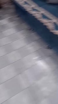 قنفات • كويتي • نضيفات