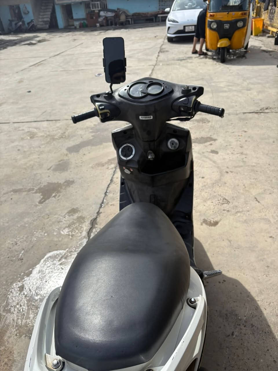 سلام عليكم شبابنه الطيبه سكنس فحل طلاعات جديده بجيس   كفاله عامه اوبلعافيه ع ياخذهة مكاني بغد الشعب. ***********
