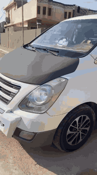 ستاركس • ٢٠١٢ • فلوجه