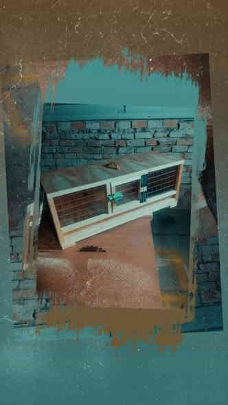 متابعينا♥️ الاصدقاء♥️ الغوالي♥️ كل شيء ♥️يرهم ♥️(جوكر)
يرهم ( نقاله 🕊️حمام )(حاظنه 🐤كتاكيت)( قفص 🕊️فك حمام )
قياس (80*30*30)
سعر(20) ألف 
بغداد مدينه الصدر تقاطع السفاره 
رقم الهاتف ☎️ ***********
