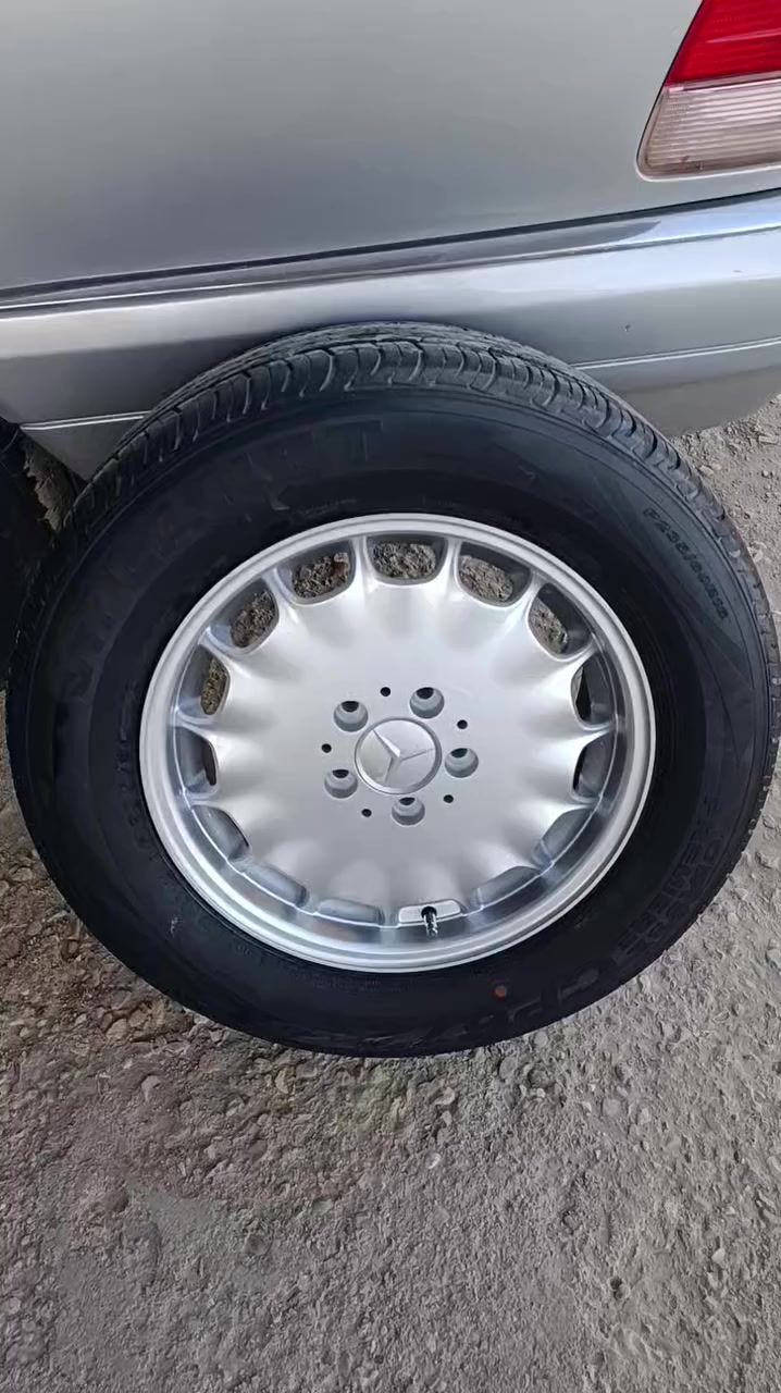 للبيع تخم ويل سيفونه اصلي عنواني واسط ***********//***********
