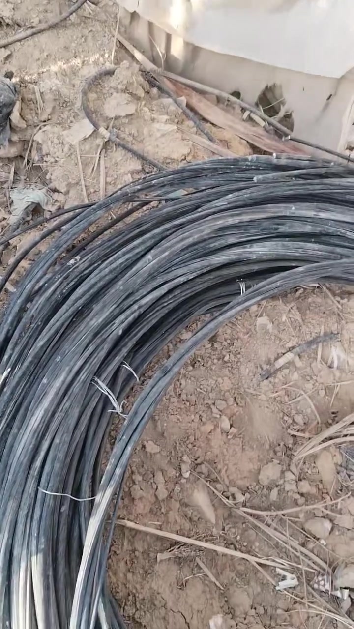 ضفيره للبيع بسعر مناسب اتصل على هذا الرقم ***********
