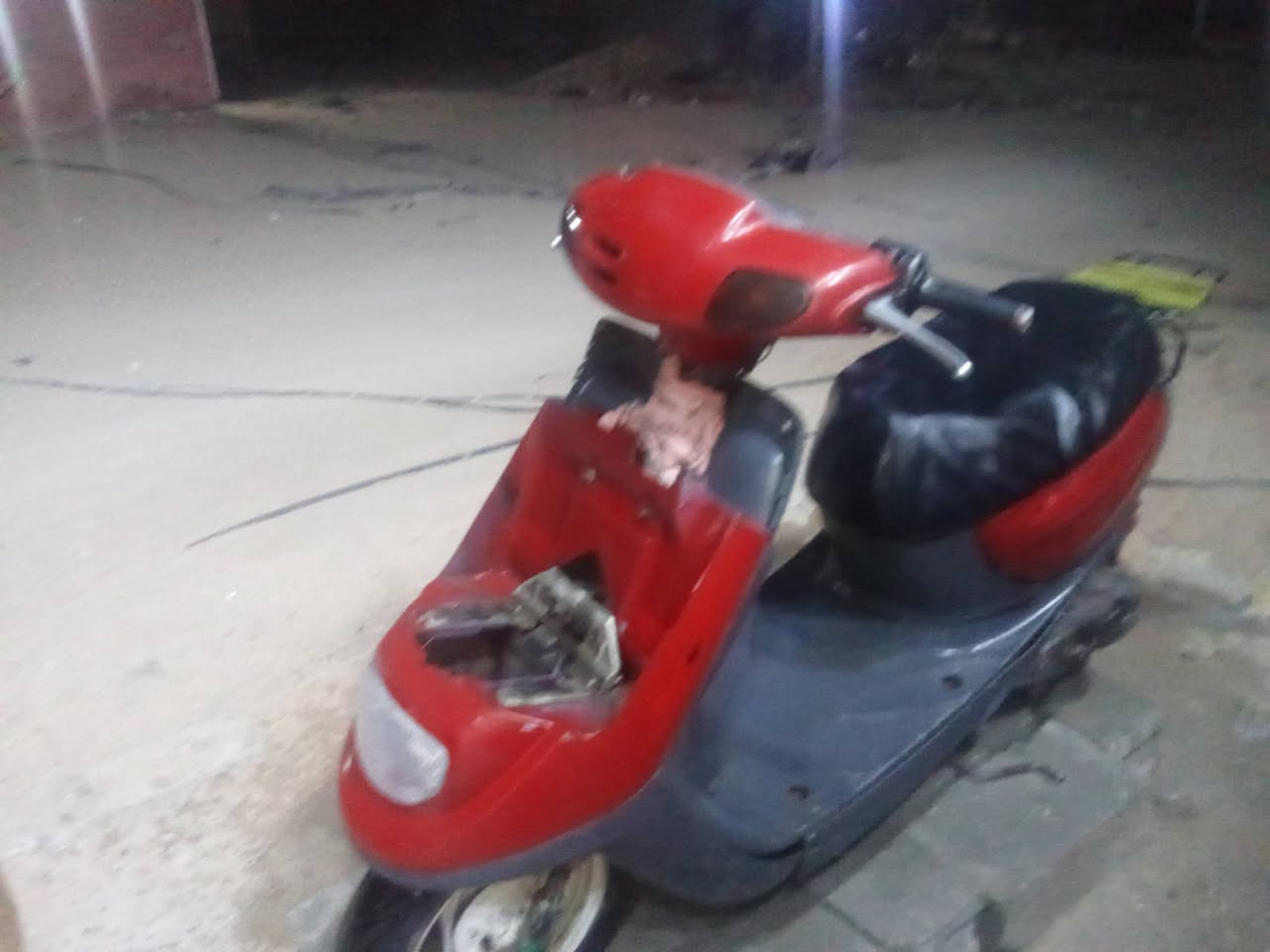 منغولي للبيع 200


**إذا كنت صاحب هذا الإعلان وتريد حذفه لأي سبب، رجاءا أرسل رسالة إلى الدعم الفني**