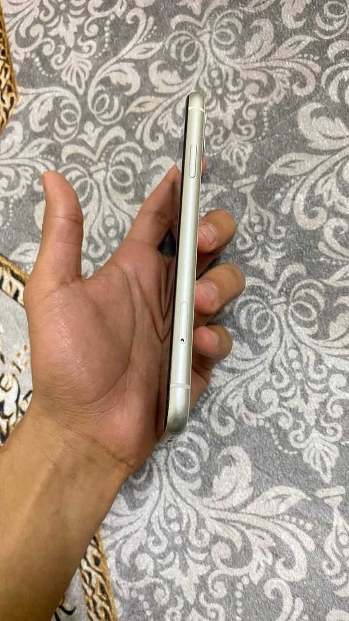 السلام عليكم
ايفون 11عادي 

ذاكرة 128

بطاريه 79

ما مفتوح نهائياً 

موبايل نضيف 100‎%‎

ماعده الخدش ل موضح بل صوره 

مراوس ب ايفون شريحه إلكترونيه او تلفون اهم شي برو لو برو ماكس


**إذا كنت صاحب هذا الإعلان وتريد حذفه لأي سبب، رجاءا أرسل رسالة إلى الدعم الفني**