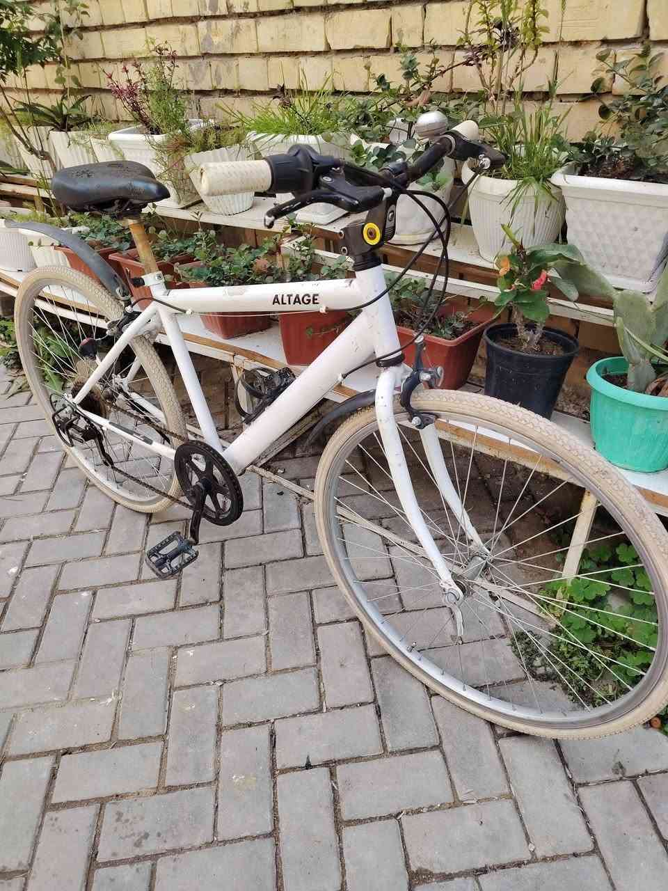 دراجة وضع حاوية كاملة من أي نقص ماركة ALTAGE   حجم الإطار 26 ركبة لاعابة تحكم سستم شيمانو 7نمر شغال وجاهز بريكات أمامي خلفي  شغال السعر ٩٥ وبي مجال بسيط  مكاني بغداد مدينة الصدر ما متواجد ماسنجر *********** واتساب  توصيل موجود
