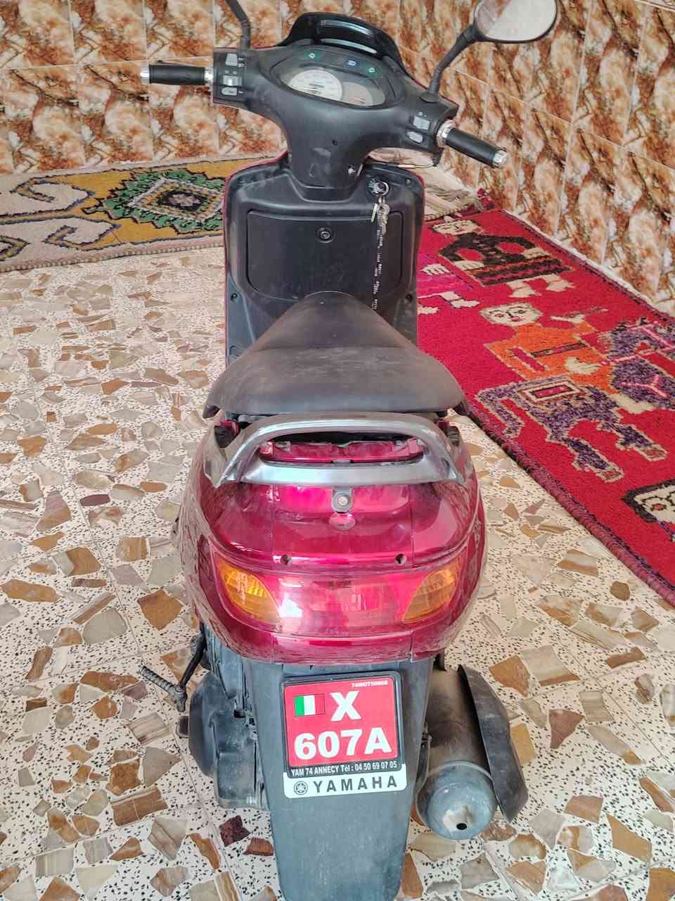 درجه فراشه البيع المكان شاميه


**إذا كنت صاحب هذا الإعلان وتريد حذفه لأي سبب، رجاءا أرسل رسالة إلى الدعم الفني**