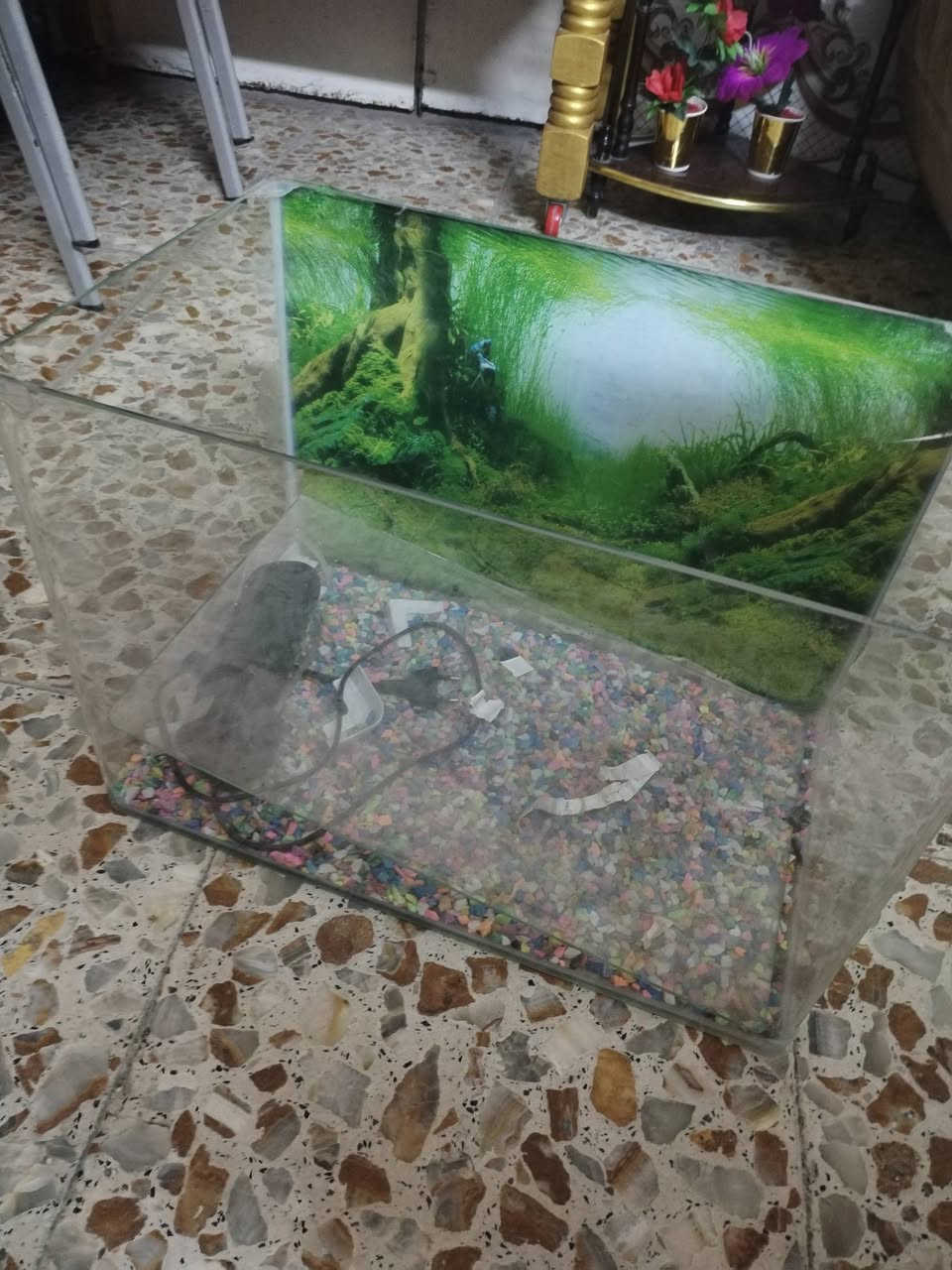 حوض سمك زجاج ب٣٥ الحريه


**إذا كنت صاحب هذا الإعلان وتريد حذفه لأي سبب، رجاءا أرسل رسالة إلى الدعم الفني**