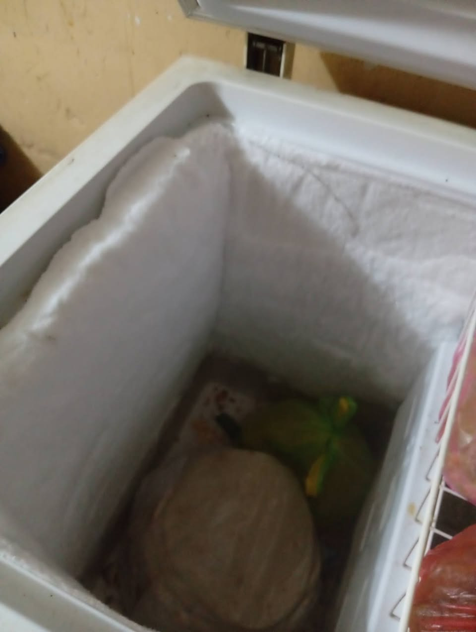 سلام عليكم مجمده فول التجميد مالتها +كاونتر للبيع
المجمده ب200
كنتور كذلك ب200قفل
اليريد يشتري يتواصل خاص


**إذا كنت صاحب هذا الإعلان وتريد حذفه لأي سبب، رجاءا أرسل رسالة إلى الدعم الفني**