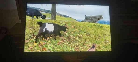 شاشه ام النت حجم 50 السعر 200 العنوان شاميه قرب مصرف الرشيد مصطفى الكرعاوي يوجد توصيل *********** ديوانية
