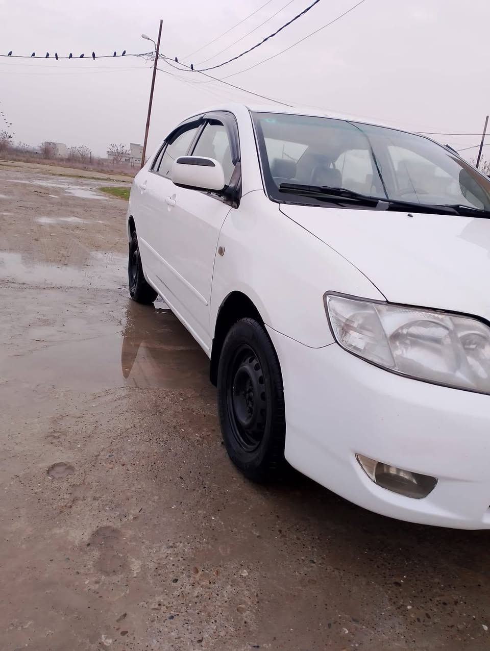 السلام عليكم 
كورلا 
موديل 2006
رقم بغداد مسطره 
محرك 16
كير اوتوماتيك 
تبريد+تدفئه شغاله 
الضرر جاملغ اليمين بي صبغ 
الشرعي بالموصل شرط التحويل 
السعر 83بيها مجال 
العنوان.#مكتب_ريسان_لبيع_وشراء_السيارات (#موصل_الجانب_الايمن_حي17تموز_سايدين_الاقتصادين_مقابل_قطاع_الربيع) 
#اوقات_العمل⏲️ موجودين بالمكتب من ساعه10صباحاً الى الساعه 9مساءً 
ملاحظه يرجى الاتصال من الساعه العاشره  صباحاً الى الساعه العاشره مساءً 
للاتصال
📱***********
📱***********
#مكتب_ريسان
